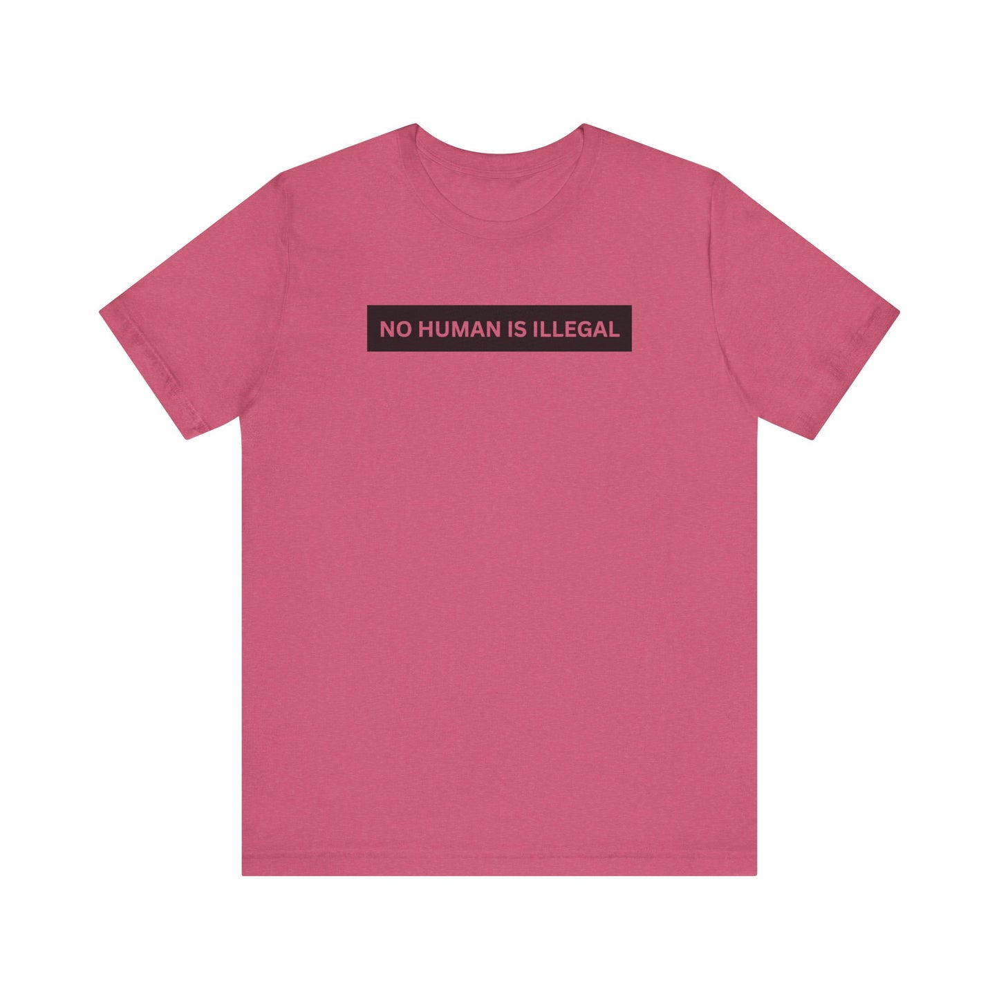 NO HUMAN IS ILLEGAL T-Shirt | No Human is Illegal on Stolen Land | Immigrants make America Great | FDT
