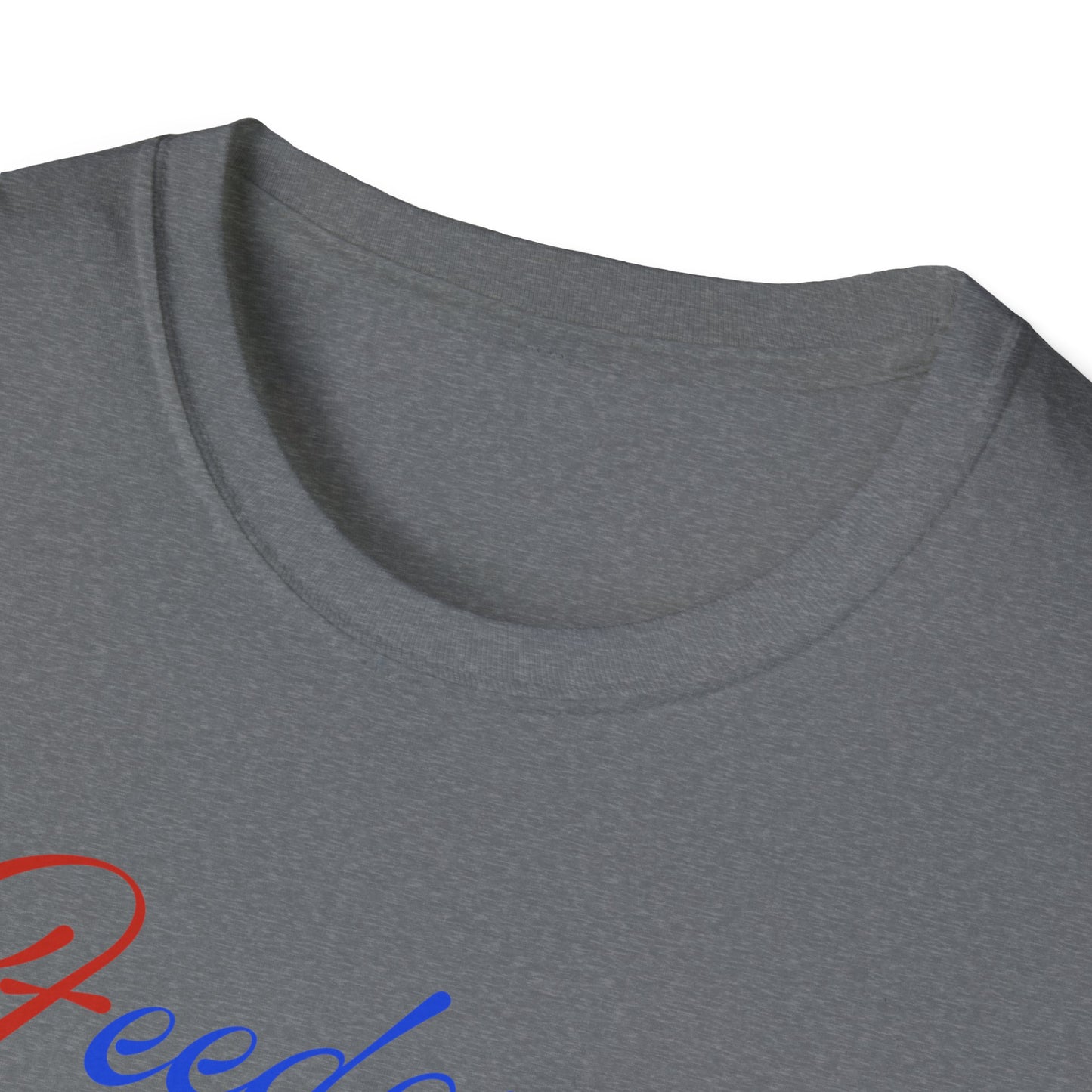 FREEDOM DEMOCRACY TRUTH | Protest Shirt